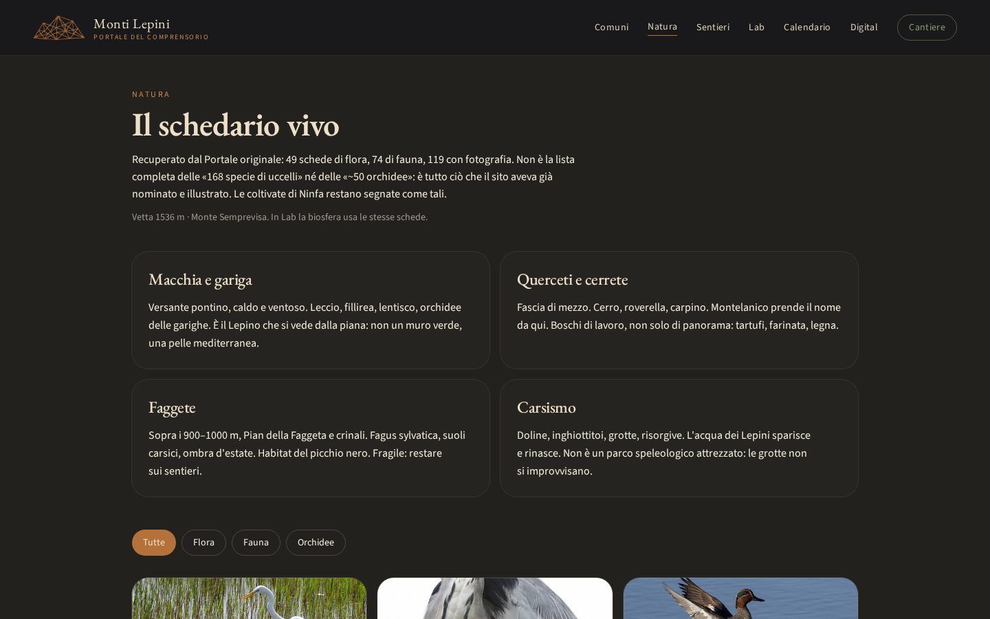 Natura: Schede di flora e fauna